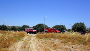 Φωτιά σε δασική έκταση στο Σουληνάρι Μεσσηνίας