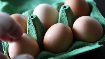 Ολλανδία: Συλλήψεις δύο υπόπτων στο πλαίσιο της έρευνας για τα μολυσμένα αυγά