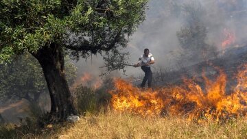 Θεσπρωτία: Μαίνονται ακόμα οι πυρκαγιές που «πέρασαν» από την Αλβανία