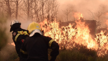 Πυροσβεστική: Δεν μπορούμε να μιλάμε για εμπρησμούς - Τα αίτια δεν έχουν διερευνηθεί 