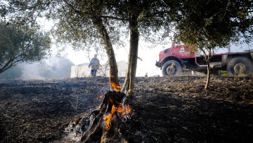 Σε πλήρη έλεγχο η πυρκαγιά στο Περιστέρι Ηλείας