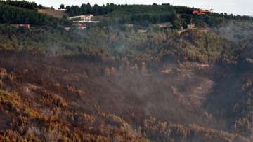 Ανατολική Αττική: Ξεκινούν αυτοψίες σε πληγείσες επιχειρήσεις από την πυρκαγιά