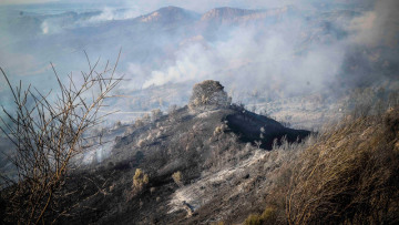 Χωρίς ενεργό μέτωπο η φωτιά στην ανατολική Αττική: Έγιναν στάχτη 18.500 στρέμματα