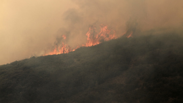 Σε εξέλιξη ακόμα μια φωτιά στην Ζάκυνθο - Πολύ υψηλός κίνδυνος και σήμερα