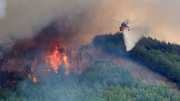 Μεγάλη φωτιά κοντά στα Καλάβρυτα - Καίει δασική έκταση
