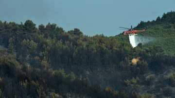 Φωτιά σε πευκοδάσος στην Πυλαία Αλεξανδρούπολης