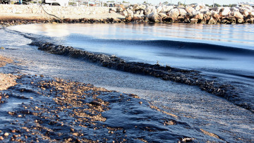 Πρώην πρύτανης ΕΜΠ για την καταστροφή στον Σαρωνικό: Το υπουργείο Ναυτιλίας ολιγώρησε