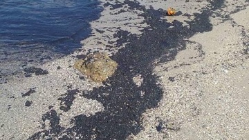 Φωτογραφίες: Το μαζούτ έφτασε μέχρι την παραλία της Σαρωνίδας!