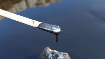 Greenpeace: To περιβαλλοντικό έγκλημα στην Σαλαμίνα συνεχίζεται 