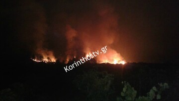 Ανεξέλεγκτη η φωτιά στο Κούτσι Νεμέας