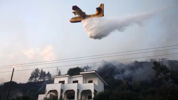 Κάηκαν 1.500 στρέμματα στην Χαλκιδική - Υπό μερικό έλεγχο η φωτιά