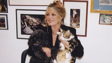 Μπριζίτ Μπαρντό κατά Τραμπ: Είναι ακατάλληλος για πρόεδρος