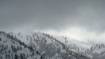 Βασιλίτσα: Χιονοστιβάδα καταπλάκωσε παρέα που έκανε snowboard - Σε κρίσιμη κατάσταση 30χρονος