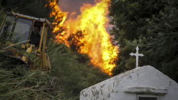 Ηλεία: Οι πυρκαγιές που θύμισαν 2007 μπήκαν από κατοίκους που έκαιγαν κλαδιά ελιάς