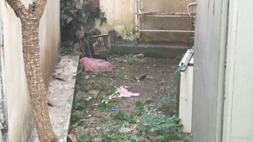 Νέα Σμύρνη: Δίωξη για κακούργημα στην 22χρονη που πέταξε το νεογέννητο μωρό της 