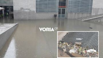 Η  νεροποντή ξέβρασε νεκρά ποντίκια στο δημαρχείο Θεσσαλονίκης