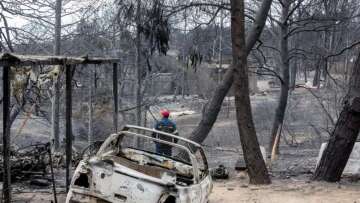 «Η Πολιτεία αποφάσισε να σταθεί δίπλα σε εμάς»: Το «ευχαριστώ» των πληγέντων από τις τραγωδίες σε Μάνδρα και Μάτι για τα μέτρα στήριξης
