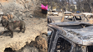 Μαρτυρίες που συγκλονίζουν: Ακούσαμε τις κραυγές του παιδιού που πήδηξε στον γκρεμό