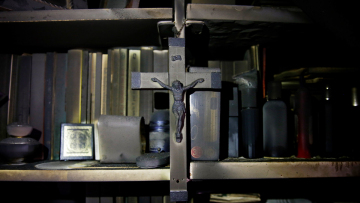 Ζωή μέσα από τις στάχτες: Οι απόκοσμες εικόνες που άφησε πίσω της η πυρκαγιά