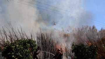 Σε εξέλιξη νέα πυρκαγιά στις Φέρες Αλεξανδρούπολης
