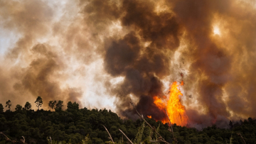Φωτιά στην Αμαλιάδα: Σε μια χαράδρα δίνουν τη μάχη με τις φλόγες οι πυροσβέστες