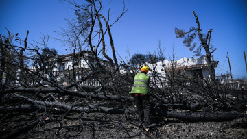Καθηγητής Συνολάκης: Το Μάτι θα μπορούσε να εκκενωθεί σε 45 λεπτά