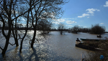 Τριπλό έγκλημα στον Έβρο: Σενάρια τρόμου εξετάζει η αστυνομία