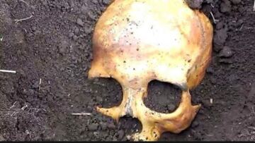 Μακάβριο εύρημα στη Βιομηχανική Περιοχή Πρέβεζας