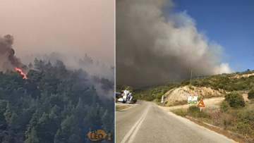 Η φωτιά στη Σιθωνία Χαλκιδικής έχει απλωθεί στα τρία χιλιόμετρα - Εκκενώθηκε ο Κάμπος