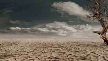 Το «Μεγάλο Θανατικό» πριν από 252 εκατ. χρόνια οφειλόταν στην κλιματική αλλαγή