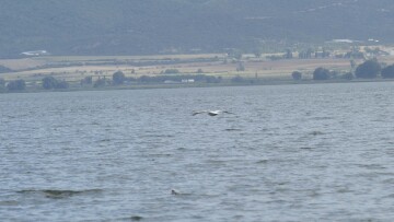 Συνεχίζονται οι έρευνες για τους δύο ψαράδες που αγνοούνται στη Βόλβη