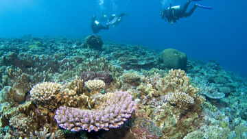 Αυστραλία: 49 εκατ. ευρώ για την προστασία του Μεγάλου Κοραλλιογενή Υφάλου