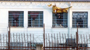 Νεκρός στο κελί του 26χρονος στις φυλακές Λάρισας