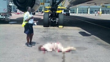 Αεροσυνοδός της Emirates σκοτώθηκε πέφτοντας από την έξοδο κινδύνου αεροπλάνου