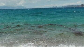 Κορινθιακός: Προμηθεύονται ειδικά αντιηλιακά για να γλιτώσουν από τις τσούχτρες 