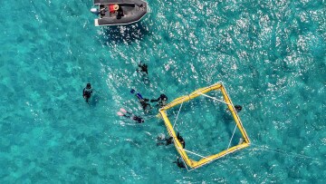 «Τεχνητή γονιμοποίηση» στα κοράλλια του Μεγάλου Κοραλλιογενή Υφάλου της Αυστραλίας! 