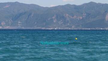 Θρίλερ με την πτώση διθέσιου αεροπλάνου στο Μεσολόγγι - Έρευνες για τον πιλότο 