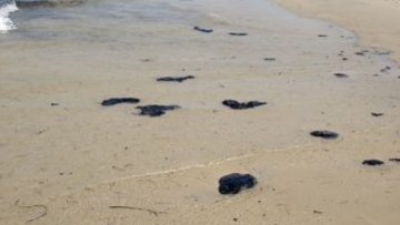 Κρήτη: Λύσεις για τη μείωση της ρύπανσης των ακτών το καλοκαίρι