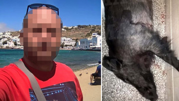 Δολοφονία Σταματιάδη: Οι φωτογραφίες του αγριογούρουνου που οδήγησαν στους φονιάδες 