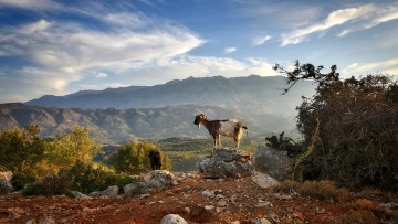 «Σάρωσε» η Περιφέρεια Κρήτης στα βραβεία Greek Travel Awards στη Στοκχόλμη