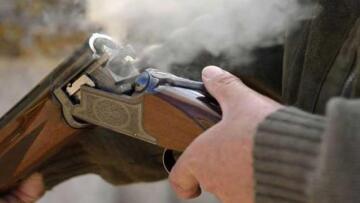 Κιλκίς: Κτηνοτρόφος σκότωσε σκύλο με καραμπίνα επειδή «ενοχλούσε το κοπάδι του»