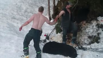 Βαρβαρότητα: Πατέρας και γιος σκότωσαν αρκούδα και αρκουδάκια σε χειμερία νάρκη και μετά πανηγύρισαν