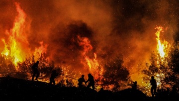 Δάσος της Στροφυλιάς: Φωτογραφίες αποτυπώνουν τον όλεθρο της φωτιάς