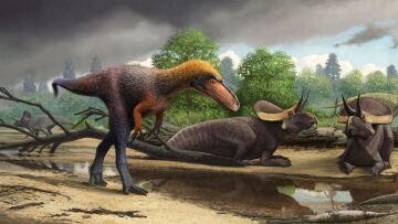 Ανακαλύφθηκε πρόγονος του Τυραννόσαυρου που έζησε 92 εκατ. χρόνια πριν τον T-Rex