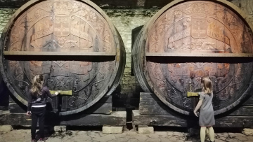 Οι παλιές ετικέτες του κρασιού