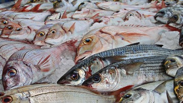 Εξαγωγές: Αυτές είναι οι 12 πιο ανταγωνιστικές κατηγορίες της ελληνικής οικονομίας