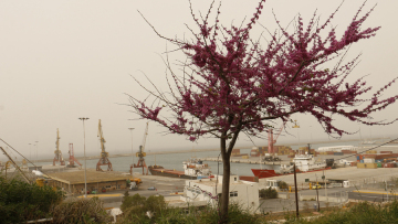 Ευρωεκλογές 2019: Ο καιρός φέρνει 30άρια - Στις κάλπες με αφρικανική σκόνη, ήλιο και πολλή ζέστη 