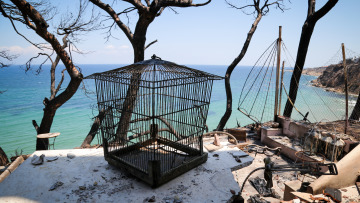 «Καμπανάκι» της WWF: Ανοχύρωτη η χώρα απέναντι στις πυρκαγιές 10 μήνες μετά τον όλεθρο στο Μάτι