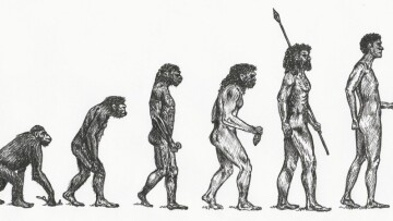 Σπουδαία ανακάλυψη: Το αρχαιότερο δείγμα Homo Sapiens είναι ελληνικό!