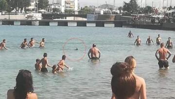 Βαρβαρότητα στη Χαλκίδα: Λουόμενοι σκότωσαν βασιλική ζαργάνα!